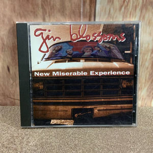 1992 New Miserable Experience By Gin Blossoms Audio Music CD